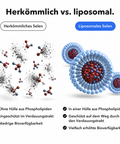 Liposomales Selen: Herkömmlich vs. liposomal
