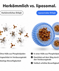 Liposomales Shilajit: Herkömmlich vs. liposomal