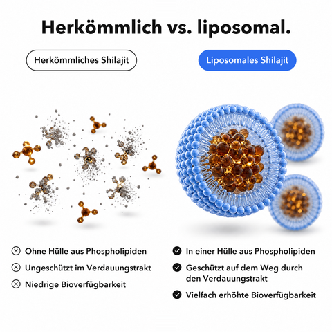 Liposomales Shilajit: Herkömmlich vs. liposomal