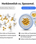 Liposomales Vitamin A: Herkömmlich vs. liposomal