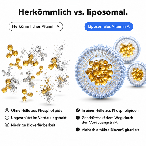 Liposomales Vitamin A: Herkömmlich vs. liposomal
