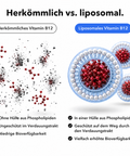 Liposomales Vitamin B12 (Tropfen): Herkömmlich vs. liposomal