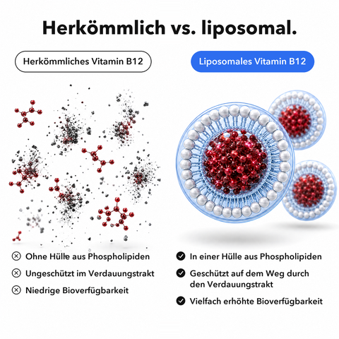 Liposomales Vitamin B12 (Tropfen): Herkömmlich vs. liposomal