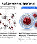 Liposomales Vitamin B12 (Kapseln): Herkömmlich vs. liposomal