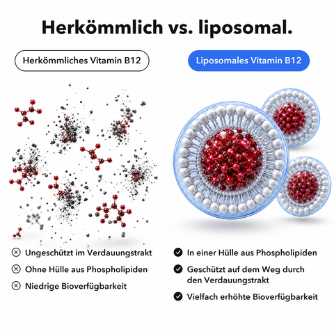 Liposomales Vitamin B12 (Kapseln): Herkömmlich vs. liposomal