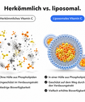 Liposomales Vitamin C: Herkömmlich vs. liposomal