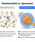 Liposomales Vitamin C + Zink: Herkömmlich vs. liposomal