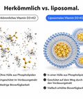 Liposomales Vitamin D3+K2 (Tropfen): Herkömmlich vs. liposomal