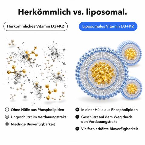 Liposomales Vitamin D3+K2 (Tropfen): Herkömmlich vs. liposomal