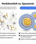 Liposomales Vitamin D3+K2 (Kapseln): Herkömmlich vs. liposomal