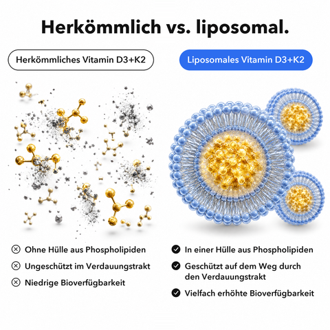 Liposomales Vitamin D3+K2 (Kapseln): Herkömmlich vs. liposomal