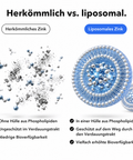 Liposomales Zink: Herkömmlich vs. liposomal