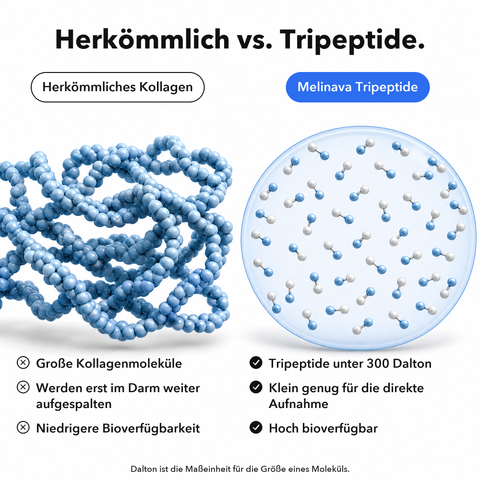 Marines Kollagen: Herkömmlich vs. Tripeptide