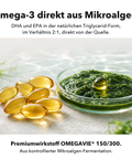Omega 3 Vegan: Omega-3 direkt aus Mikroalgen