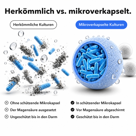 Probiotika Mikroverkapselt: Herkömmlich vs. mikroverkapselt