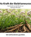 Bio Baldrian: Die Kraft der Baldrianwurzel
