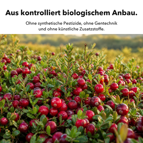 Bio Cranberry: Aus kontrolliert biologischem Anbau
