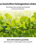 Bio Ginkgo Biloba: Aus kontrolliert biologischem Anbau
