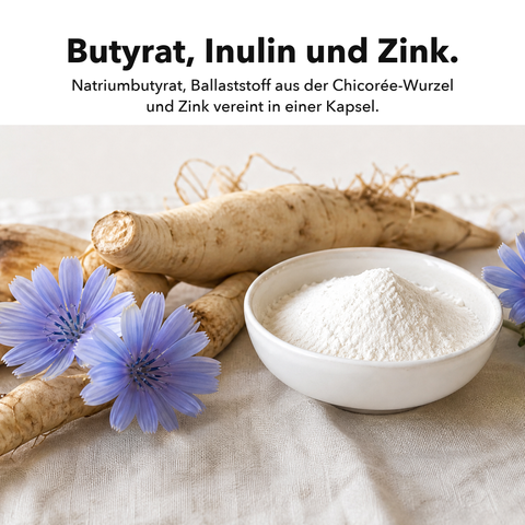 Butyrat Mikroverkapselt: Butyrat, Inulin und Zink