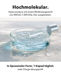 Liposomale Hyaluronsäure: Hochmolekular