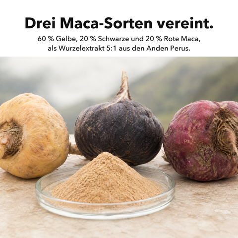 Liposomale Maca-Wurzel: Drei Maca-Sorten vereint