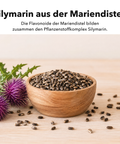 Liposomaler Mariendistel Extrakt: Silymarin aus der Mariendistel