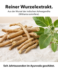 Liposomales Ashwagandha (Kapseln): Reiner Wurzelextrakt