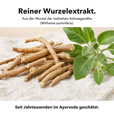 Liposomales Ashwagandha (Kapseln): Reiner Wurzelextrakt