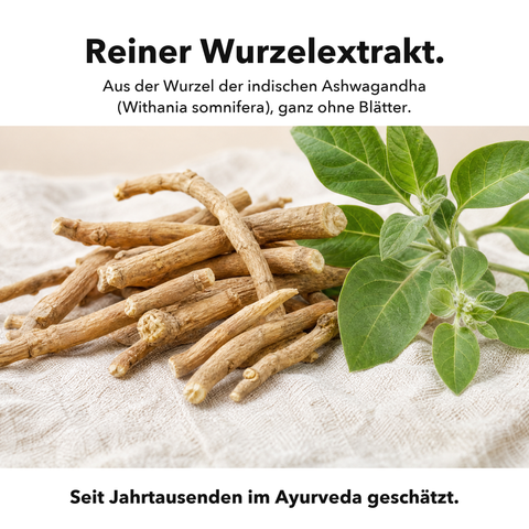Liposomales Ashwagandha: Reiner Wurzelextrakt