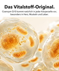 Liposomales Coenzym Q10: Das Vitalstoff-Original