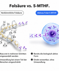 Liposomales Inositol + 5-MTHF: Folsäure vs. 5-MTHF