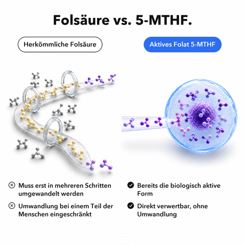 Liposomales Inositol + 5-MTHF: Folsäure vs. 5-MTHF