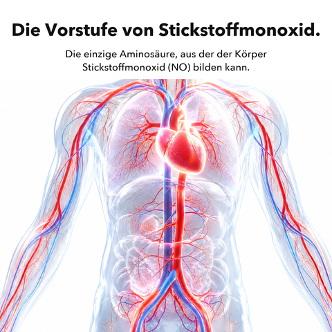 Liposomales L-Arginin: Die Vorstufe von Stickstoffmonoxid