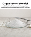 Liposomales MSM: Organischer Schwefel