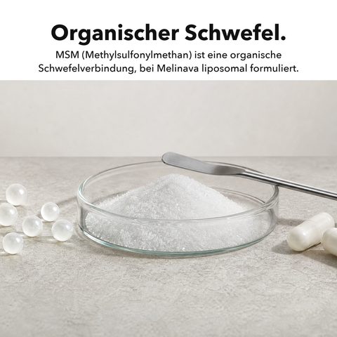 Liposomales MSM: Organischer Schwefel
