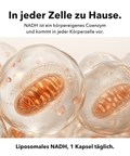 Liposomales NADH: In jeder Zelle zu Hause