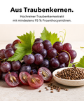 Liposomales OPC: Aus Traubenkernen