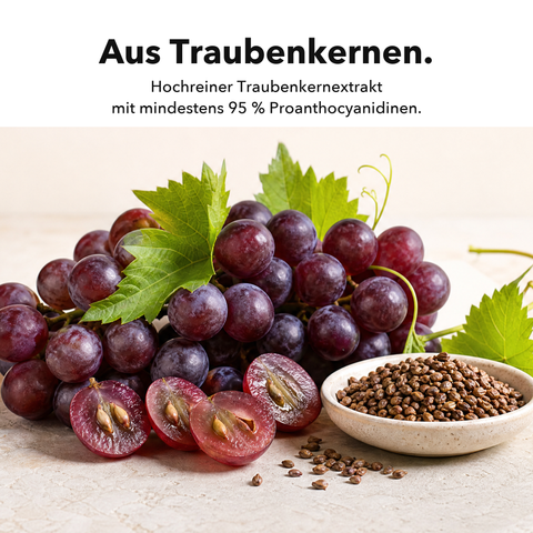 Liposomales OPC: Aus Traubenkernen