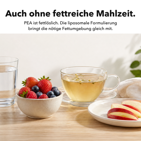 Liposomales PEA: Auch ohne fettreiche Mahlzeit