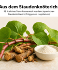 Liposomales Resveratrol: Aus dem Staudenknöterich