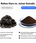 Liposomales Shilajit: Rohes Harz vs. reiner Extrakt