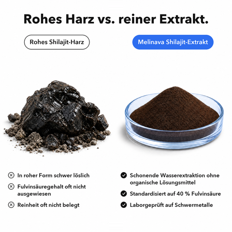Liposomales Shilajit: Rohes Harz vs. reiner Extrakt