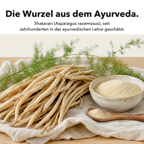 Shatavari: Die Wurzel aus dem Ayurveda