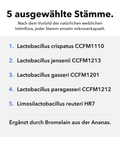 Intima Probiotika Mikroverkapselt: 5 ausgewählte Stämme