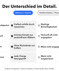 Liposomales L-Theanin: Der Unterschied im Detail