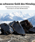 Liposomales Shilajit: Das schwarze Gold des Himalaya