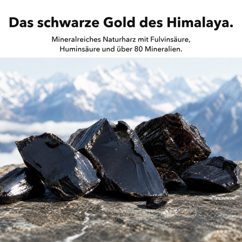 Liposomales Shilajit: Das schwarze Gold des Himalaya