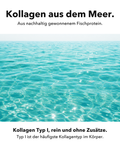 Marines Kollagen: Kollagen aus dem Meer