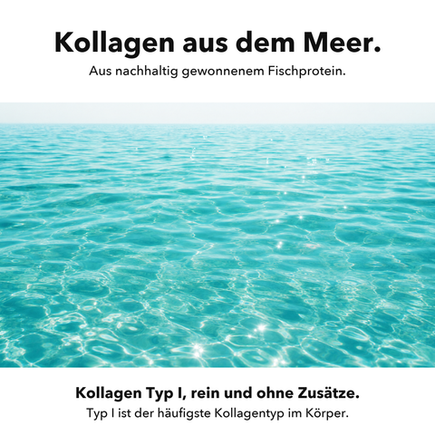 Marines Kollagen: Kollagen aus dem Meer