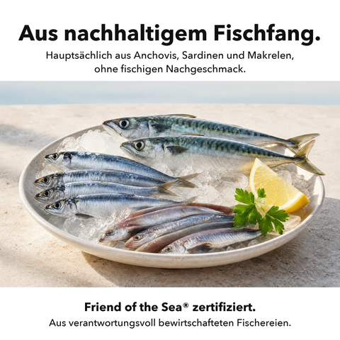 Omega 3: Aus nachhaltigem Fischfang